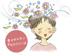 脳活性エステ、セロトニン